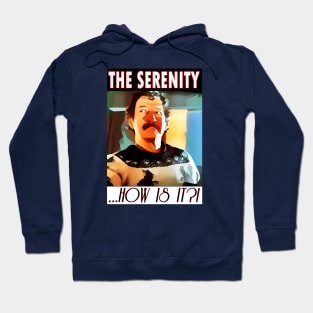 Retro Aussie Cinema - The Castle - SERENITY Hoodie